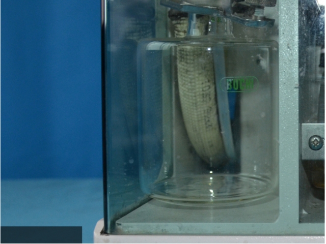 步琪BUCHI Vacuum System B-179